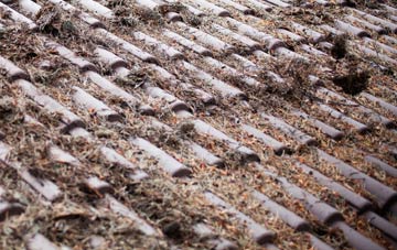 Sweethaws roof cleaning companies